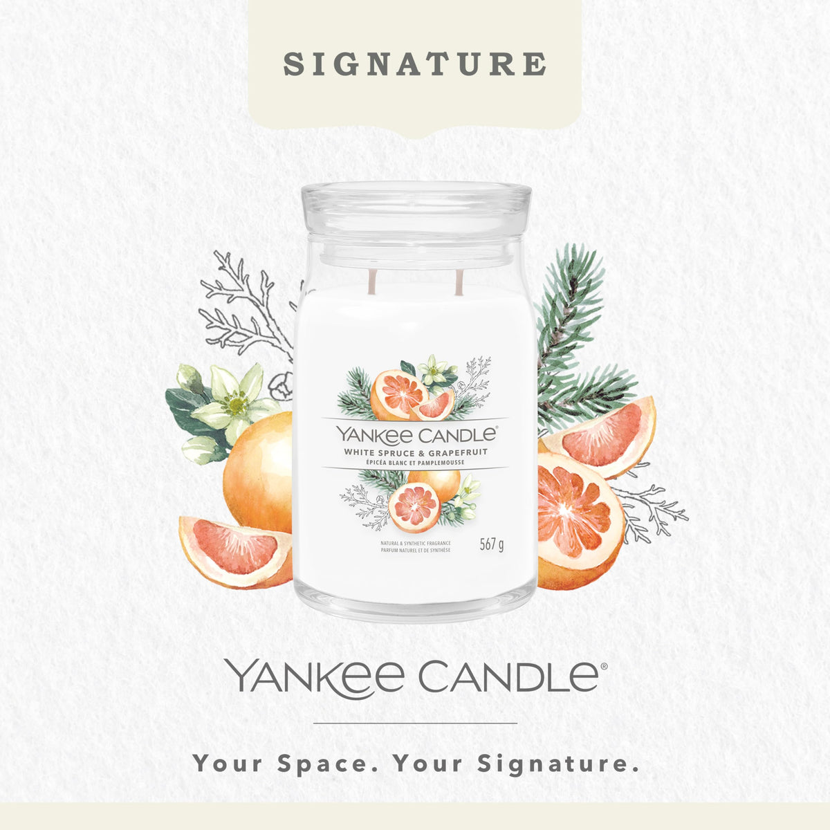 Yankee Candle Signature Large Scented Jar Candle - White Spruce & Grapefruit