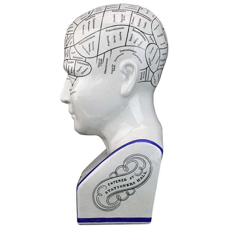 Design Toscano Porcelain Phrenology Head Fortune Telling Statue 30.5cm in White