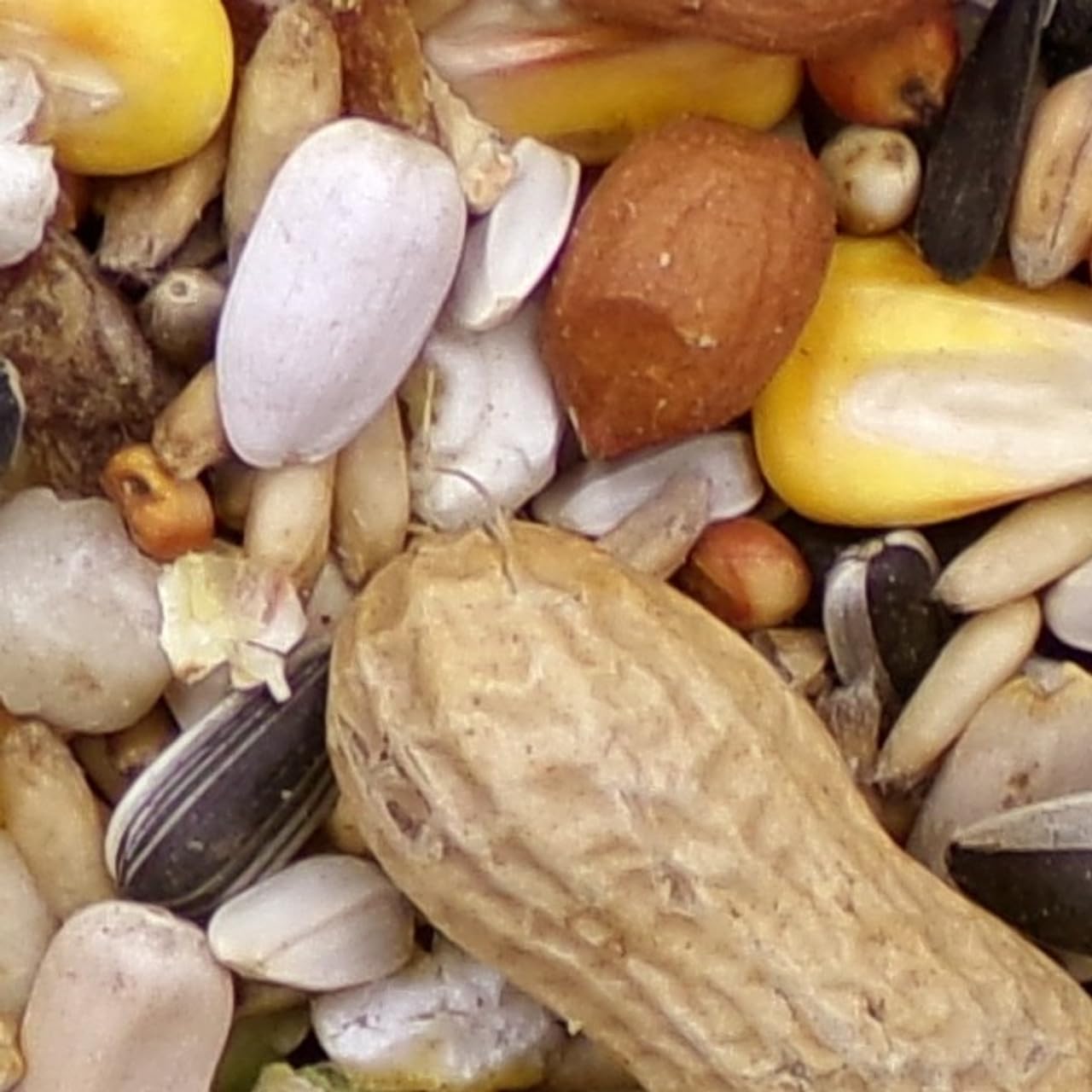 Marriage's Picnic Parrot Food Oats & Peanut Kernels 12.55kg