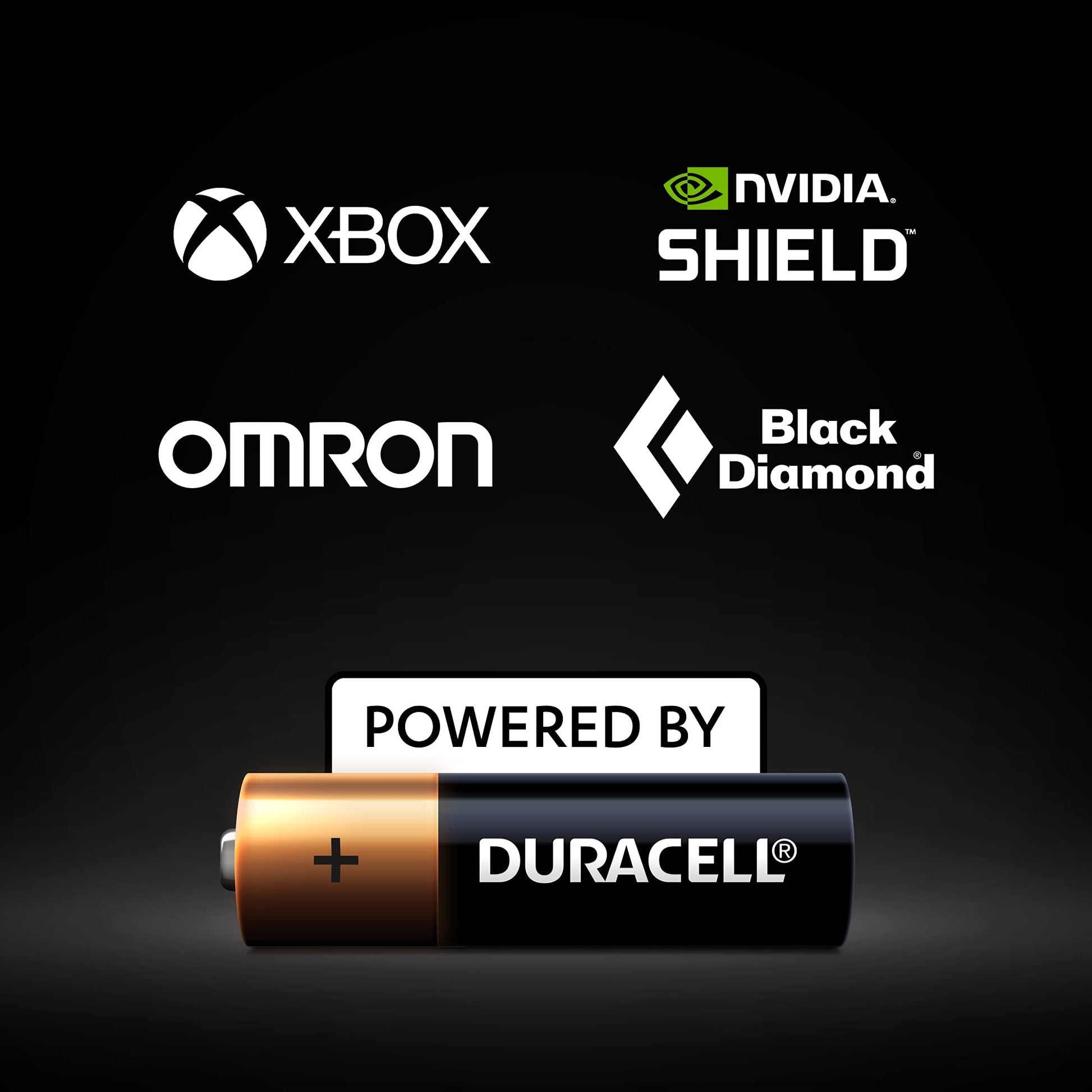 Duracell Specialty Alkaline AAAA Battery 1.5V Pack of 2