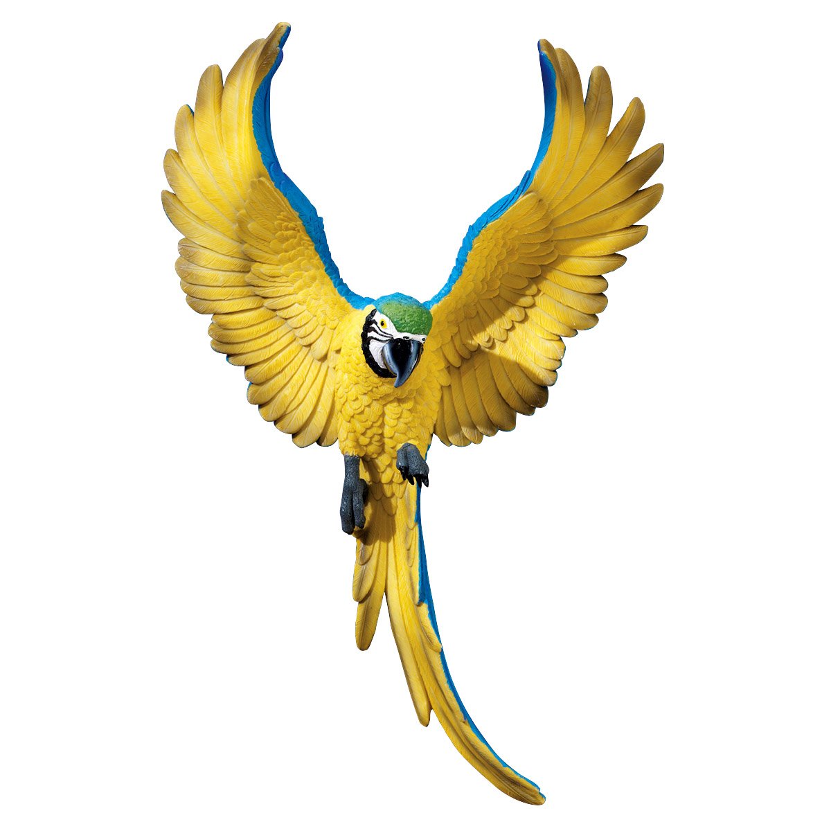 Design Toscano Flapping Macaw Bird Wall Sculpture 40.5cm Indoor Tropical Decor