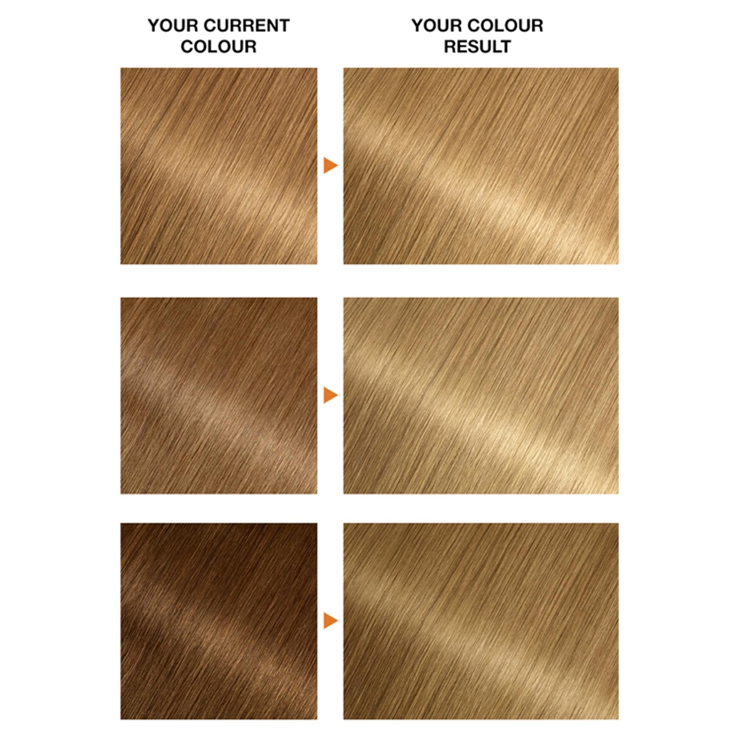 Garnier Belle Color 8.3 Natural Copper Blonde Permanent Hair Dye