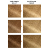 Garnier Belle Color 8.3 Natural Copper Blonde Permanent Hair Dye
