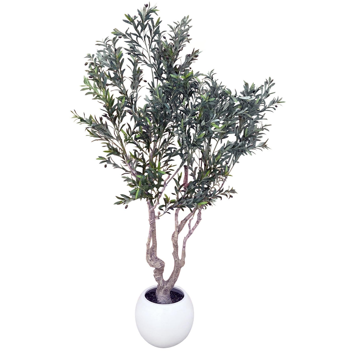 Leaf Design UK Artificial XL Olive Tree 250cm Realistic Faux Plant in White Planter