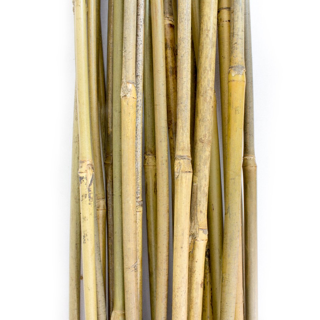 PLANT !T 3FT Bamboo Stakes Pack of 25 - Garden Plant Support Canes Indoors/Outdoors