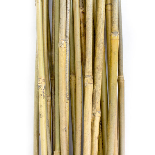 PLANT !T 3FT Bamboo Stakes Pack of 25 - Garden Plant Support Canes Indoors/Outdoors