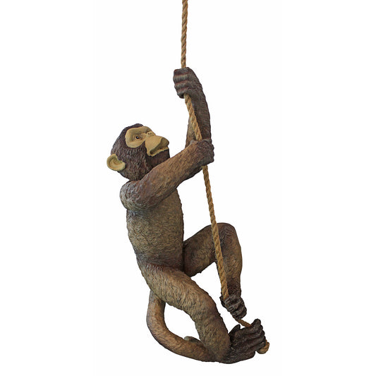 Design Toscano Makokou Climbing Monkey Sculpture - Exotic Resin Statue