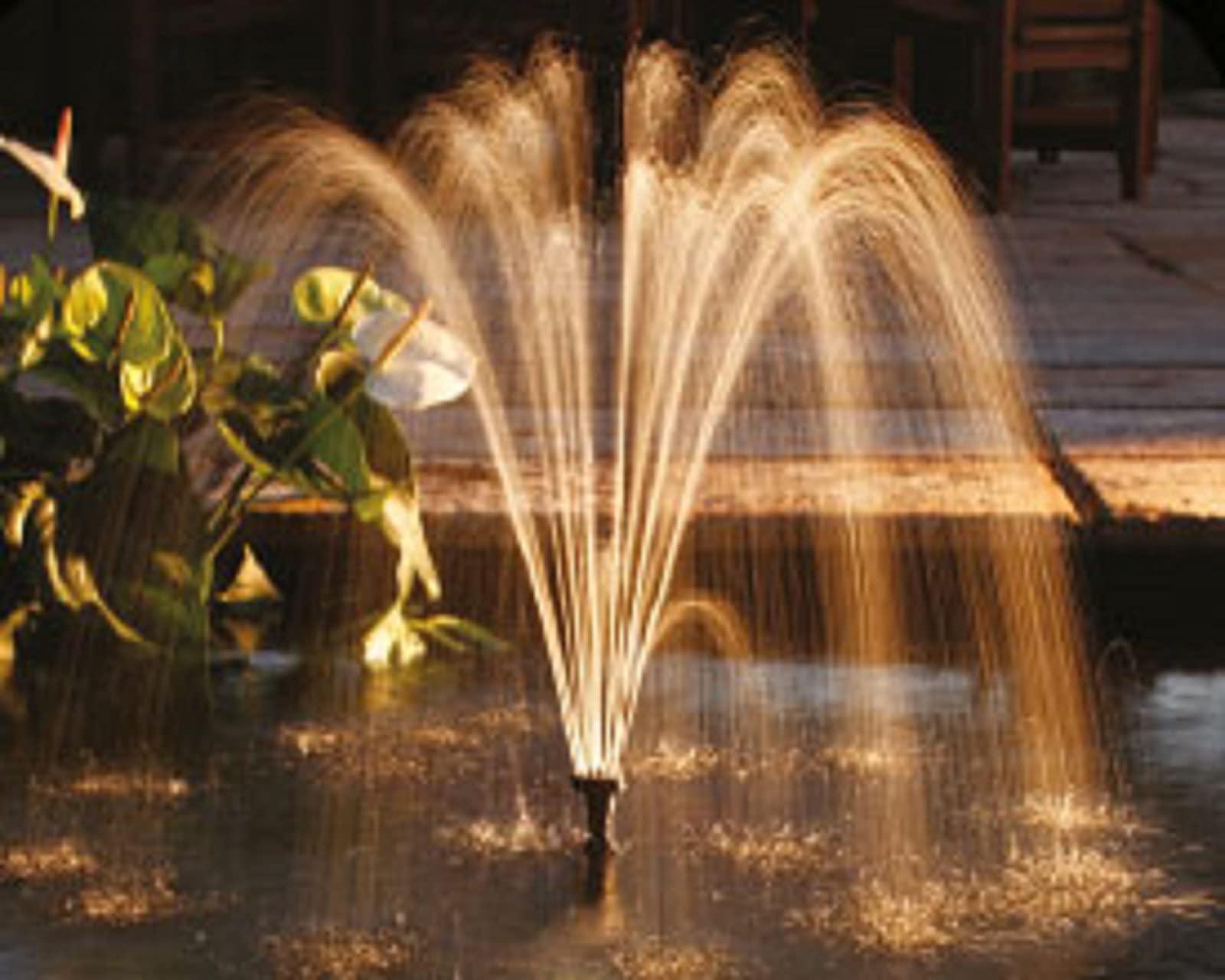 Blagdon Minipond Pond Pump 700 - 1500 Litre Fountain Pump with 3 Heads